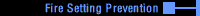 Firesetting Prevention