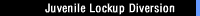 Juvenile Lockup Diversion