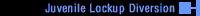 Juvenile Lockup Diversion