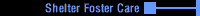 Shelter Foster Care